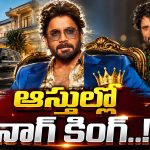 HBD Nagarjuna : బర్త్ డే స్పెషల్.. నాగార్జున ఆస్తులు ఎన్ని కోట్లంటే..?