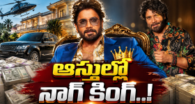 HBD Nagarjuna : బర్త్ డే స్పెషల్.. నాగార్జున ఆస్తులు ఎన్ని కోట్లంటే..?
