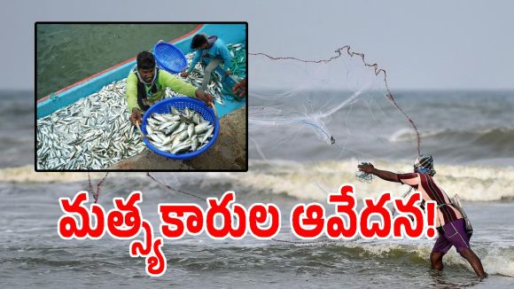 ఎల్‌నినో ఎఫెక్ట్ ఎండిపోయిన చెరువులు.. చేపపిల్లల పథకం ఉన్నట్టా లేనట్టా..?