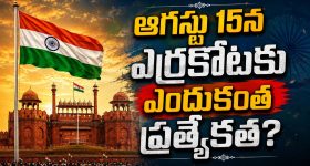 జూనియర్ ఎన్టీఆర్ ఫ్యాన్స్‌కు షాక్.. ఎన్టీఆర్ మీల్ సేవలు క్లోజ్