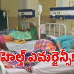 తెలంగాణ రాష్ట్రంలో డేంజర్ బెల్స్.. పంజా విసురుతున్న విష జ్వరాలు