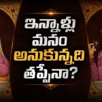 అక్బర్‌ నిజంగా జోధాబాయిని పెళ్లి చేసుకున్నాడా? 400 ఏళ్లుగా చరిత్రలో నడుస్తున్న అసలు కథ ఇదే!