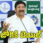వైసిపి మాజీ మంత్రి జోగి రమేష్ కు భారీ ఊరట.. బెయిల్ మంజూరు చేసిన కోర్టు
