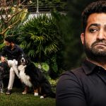 ఎన్టీఆర్ ఇంట్లో విషాదం.. కన్నీటి పర్యంతమౌతూ ఎమోషనల్ పోస్ట్!