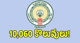వైసిపి మాజీ మంత్రి జోగి రమేష్ కు భారీ ఊరట.. బెయిల్ మంజూరు చేసిన కోర్టు