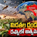 రష్యాను వణికిస్తున్న రాక్షస మిడతల దండు.. భారీ ప్రమాదం అంచులో ఆసియా దేశాలు