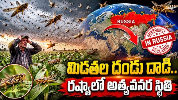 రష్యాను వణికిస్తున్న రాక్షస మిడతల దండు.. భారీ ప్రమాదం అంచులో ఆసియా దేశాలు