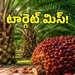 ఆయిల్ పామ్ రైతులకు బిగ్ షాక్.. అనుకున్న టార్గెట్ అంతా తుస్సేనా..!