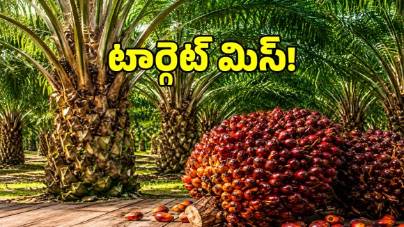 ఆయిల్ పామ్ రైతులకు బిగ్ షాక్.. అనుకున్న టార్గెట్ అంతా తుస్సేనా..!