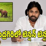 చంద్రగిరిలో ఏనుగుల రచ్చ.. రంగంలోకి దిగిన డిప్యూటీ సీఎం పవన్ కళ్యాణ్!