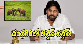 త్రిష ఆస్తుల లెక్క చూస్తే మైండ్ బ్లాక్.. ఇల్లు, కార్లు అన్నీ కోట్లలోనే!