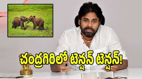 చంద్రగిరిలో ఏనుగుల రచ్చ.. రంగంలోకి దిగిన డిప్యూటీ సీఎం పవన్ కళ్యాణ్!