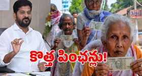 బయటకొచ్చిన వైసీపీ కాక్రోచ్‌లు.. రోడ్లపై నిరాహార దీక్షలు.. ఎక్కడో కొడుతోంది శీనా..!