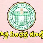 కొత్త పింఛన్లపై రేవంత్ సర్కార్ కోతలు.. ఈ రూల్స్ బ్రేక్ చేస్తే పింఛన్లు బంద్!