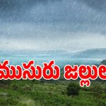 ఎల్ నినో గండం గట్టెక్కినట్లేనా.. ఆనందంలో అన్నదాతలు!