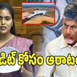 ఢిల్లీ పార్లమెంట్‌లో భోగాపురం రచ్చ.. సీఎం చంద్రబాబుకు మంత్రి తనూజ రాణి సవాల్!