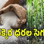చక్కెర ధరల పెరుగుదలపై క్లారిటీ ఇచ్చిన కేంద్రం.. అసలు కారణాలు ఇవేనట!