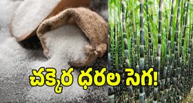 అమిత్ షా ను వెంటాడుతున్న రాహుల్‌! పెల్లెట్ గ‌న్ బాధితుడితో క‌లిసి పోరాటం..  విద్యార్థుల‌పై లాఠీ ఎత్తాలంటేనే జంకుతున్న కేంద్రం..