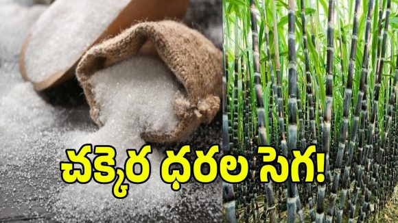 చక్కెర ధరల పెరుగుదలపై క్లారిటీ ఇచ్చిన కేంద్రం.. అసలు కారణాలు ఇవేనట!