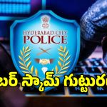 సైబర్ నేరగాళ్లకు చుక్కలు చూపించిన హైదరాబాద్ సిటీ పోలీసులు!