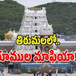 టీటీడీ భక్తులకు బిగ్ అలర్ట్.. ఈ విషయంలో జాగ్రత్త లేకపోతే మీ డబ్బులు గోవిందా!