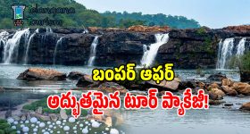 అమెజాన్ గ్రేట్ ఫ్రీడమ్ సేల్ 2026.. అన్ని ప్రొడక్ట్స్‌పై ఊహించని ఆఫర్లు !