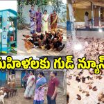 మహిళా సంఘాలకు సర్కార్ బంపర్ ఆఫర్.. 11 రకాల వ్యాపార రుణాలు!