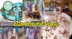 జీవితంలో నిజమైన స్నేహితుడు ఎంత ముఖ్యం? ఫ్రెండ్షిప్ డే స్పెషల్