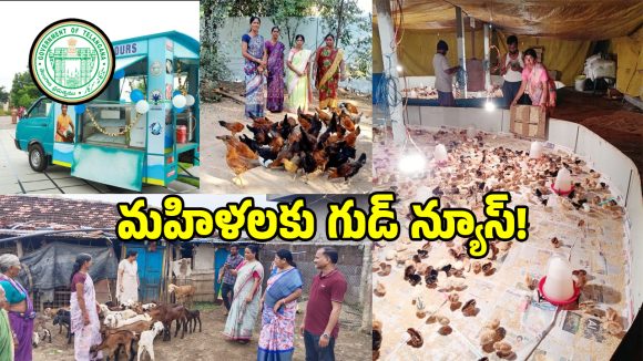 మహిళా సంఘాలకు సర్కార్ బంపర్ ఆఫర్.. 11 రకాల వ్యాపార రుణాలు!