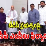 కేంద్ర హోంమంత్రి అమిత్ షాతో వైసీపీ ఎంపీల భేటీ.. ఏపీ ప్రభుత్వంపై సంచలన ఫిర్యాదులు!