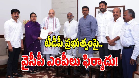 కేంద్ర హోంమంత్రి అమిత్ షాతో వైసీపీ ఎంపీల భేటీ.. ఏపీ ప్రభుత్వంపై సంచలన ఫిర్యాదులు!