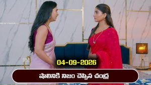 Ninnu kori Serial Today Episode September 4th ‘నిన్ను కోరి’ సీరియల్‌: చంద్రకు నిజం తెలిసిందన్న మందర – షాక్‌ అయిన మాయ      