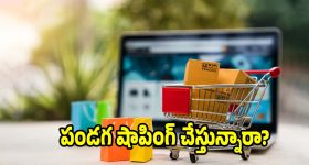 ఫెస్టివల్ సేల్స్‌లో మోసపోకండి..ఆన్‌లైన్ షాపింగ్ చేసే ముందు ఈ విషయాలు మర్చిపోవద్దు!