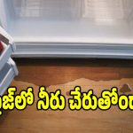 ఫ్రిజ్‌లో నీరు చేరుతోందా? టెక్నీషియన్‌ను పిలవకుండానే ఇలా సాల్వ్ చేయండి!