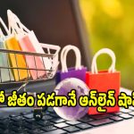 ఆన్‌లైన్ షాపింగ్‌కు ప్రతి నెలా ఎంత ఖర్చు చేయాలి? తెలివైన బడ్జెట్ సీక్రెట్ ఇదే!