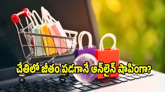 ఆన్‌లైన్ షాపింగ్‌కు ప్రతి నెలా ఎంత ఖర్చు చేయాలి? తెలివైన బడ్జెట్ సీక్రెట్ ఇదే!
