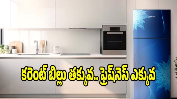 చూడటానికి అల్ట్రా రిచ్.. పనిలో సూపర్ ఫాస్ట్! ట్రెండింగ్‌లో బెస్ట్ డబుల్ డోర్ ఫ్రిడ్జ్‌లు !