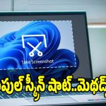 ల్యాప్ టాప్‌లో స్క్రీన్ షాట్ తీయడం ఎలా? ఈ 5 ఈజీ షార్ట్‌కట్స్ మీకు తెలుసా?