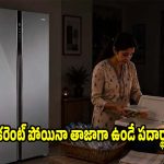 పవర్ కట్ అయినప్పుడు ఫ్రిజ్‌లో.. ఏ పదార్థాలు ఎన్ని గంటలు తాజాగా ఉంటాయో తెలుసా?