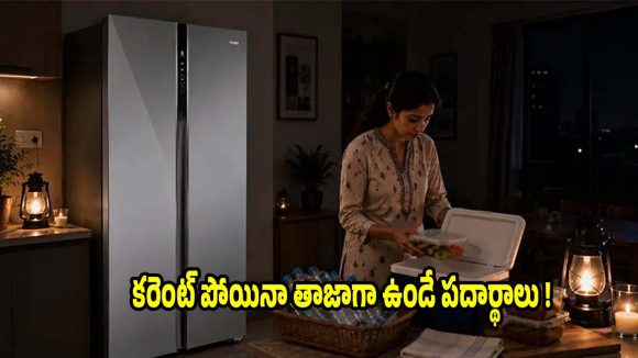 పవర్ కట్ అయినప్పుడు ఫ్రిజ్‌లో.. ఏ పదార్థాలు ఎన్ని గంటలు తాజాగా ఉంటాయో తెలుసా?