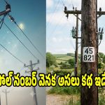 కరెంట్ పోల్స్‌పై నంబర్లు ఎందుకుంటాయో.. తెలిస్తే షాకవుతారు!
