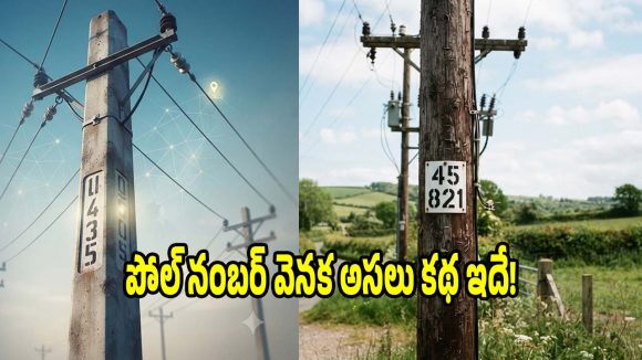 కరెంట్ పోల్స్‌పై నంబర్లు ఎందుకుంటాయో.. తెలిస్తే షాకవుతారు!