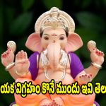 గణేశుడిని ఇంటికి తెచ్చేటప్పుడు..ఈ చిన్న విషయాలు మర్చిపోతే పూజ ఫలించదు ?