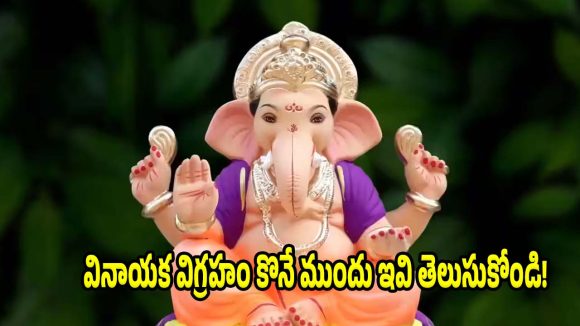 గణేశుడిని ఇంటికి తెచ్చేటప్పుడు..ఈ చిన్న విషయాలు మర్చిపోతే పూజ ఫలించదు ?