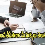 కారణం లేకుండా కంపెనీ మిమ్మల్ని తీసేయొచ్చా? లేబర్ లా ప్రకారం ఉద్యోగులకు ఉండే పవర్ ఫుల్ రైట్స్!