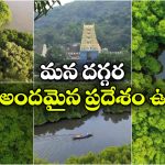 నదీ జలాలు.. సముద్రపు అలలు.. అడవి మధ్యలో బోటింగ్.. అంతర్వేది అందాలు చూస్తే మైమరచిపోతారు!