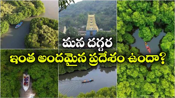 నదీ జలాలు.. సముద్రపు అలలు.. అడవి మధ్యలో బోటింగ్.. అంతర్వేది అందాలు చూస్తే మైమరచిపోతారు!