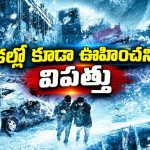 మంచు తుఫానుతో గడ్డకట్టిపోయే భూగోళం… స్పైన్ చిల్లింగ్ సైన్స్ ఫిక్షన్ సర్వైవల్ థ్రిల్లర్