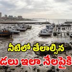 అర్జెంటీనాలో అకస్మాత్తుగా మాయమైన సముద్రం? అసలు కారణం ఇదేనట!