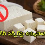 నకిలీ పన్నీర్‌ దందాకు సర్కార్ చెక్.. ఏడాది పాటు అనలాగ్ పన్నీర్‌పై నిషేధం!